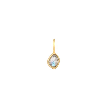 Ania Haie - POP CHARMS Bedel voor Armband of ketting - Labradorite Gold